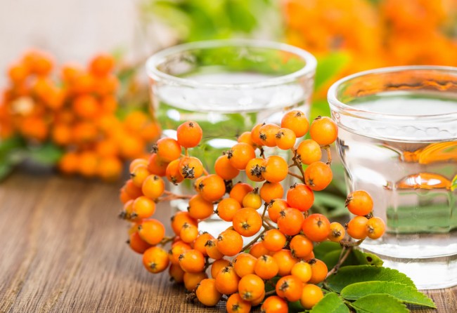 Vogelbeer-Schnapserl